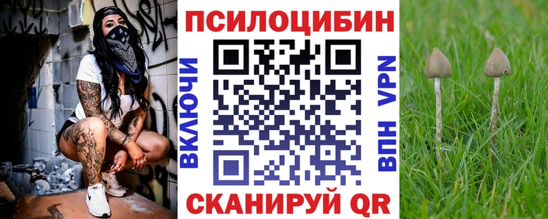 Галлюциногенные грибы мухоморы  Гай 