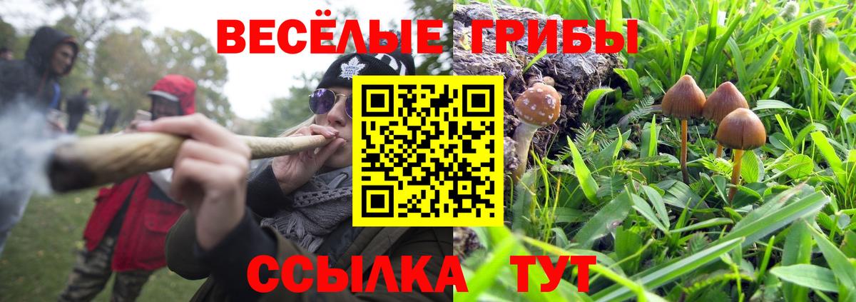 Галлюциногенные грибы мицелий Гай