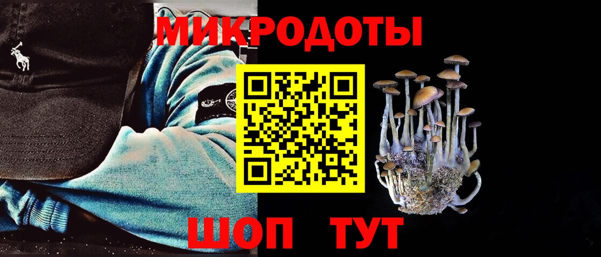 Галлюциногенные грибы MAGIC MUSHROOMS  Гай 
