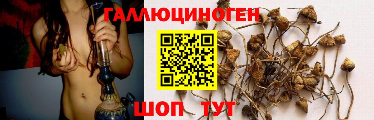 Псилоцибиновые грибы Psilocybe  Псилоцибиновые грибы MAGIC MUSHROOMS  Вход с VPN  Гай 