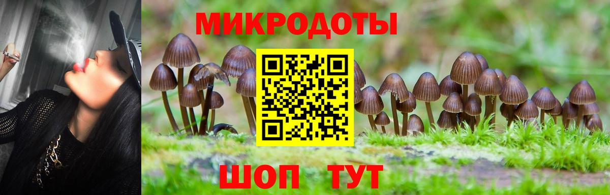 Галлюциногенные грибы Magic Shrooms Гай